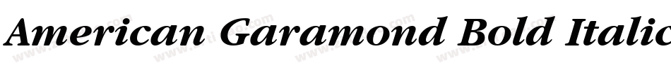 American Garamond Bold Italic BT字体转换